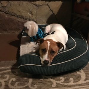 Meet your Posher, Edward